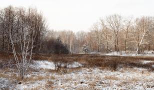 Prognoză meteo 4 noiembrie - 1 decembrie 2025. Ce se întâmplă cu vremea la început de iarnă