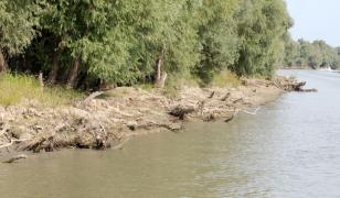 Doi bărbaţi au făcut parcare în albia râului Argeşel. Au fost amendaţi cu câte 15.000 de lei