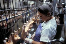 După patru ani, o cunoscută companie olandeză părăsește piața din România