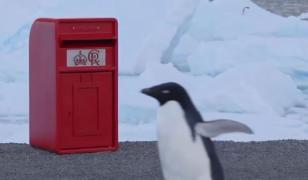 De la Palatul Buckingham la Polul Sud. Cum a ajuns o cutie poștală Royal Mail în Antarctica