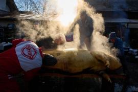 S-a dus să taie porcul, dar a ajuns să îl înjunghie pe partenerul de pahar. Tentativă de omor în Prahova