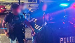 Poliţia din Los Angeles: "Fiul lui Rob şi Michele Reiner este responsabil pentru moartea acestora"