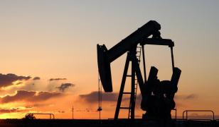 Preţul petrolului WTI din SUA, la cel mai redus nivel din 2021. A scăzut la 55 de dolari pe baril