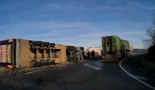 TIR încărcat cu aproape 200 de porci, răsturnat pe un drum din Cluj