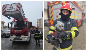 Pompierii din Giurgiu au salvat un căţeluş dintr-un apartament în care a izbucnit un incendiu