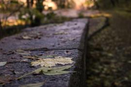 Vremea de mâine 4 decembrie. Temperaturi, peste medie. Maxime şi de 15 grade