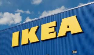 IKEA cumpără 24.000 de hectare de pădure în statele baltice într-o nouă mişcare pentru sustenabilitate
