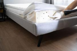 (P) Tratamente ecologice împotriva ploșnițelor de pat: soluții naturale și eficiente