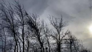 Jumătate de ţară intră în cod galben de vânt. Şi Capitala va fi 36 de ore sub alertă