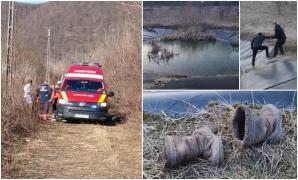 Două surioare, de 2 şi 3 ani, au murit după ce au căzut într-un lac din Mureş. Cea mare a încercat să o scoată pe cea mică, dar a fost și ea înghiţită de apă