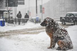 Vremea de mâine 22 februarie 2025. Zonele în care va fi deosebit de rece