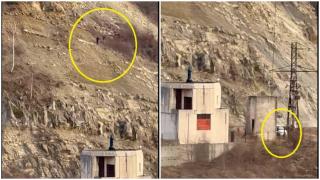 bărbați piatră Buzău