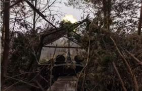 Serviciul de spionaj al Rusiei acuză Londra că ar fi "principalul instigator" al unui război global: "Nu veţi reuşi"