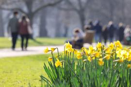 ANM anunţă temperaturi de vară în weekend: spre 30 de grade Celsius în sud, apoi răcire bruscă în toată țara