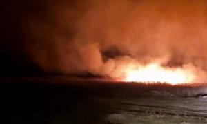 Incendiu de vegetaţie în Tulcea. Zece hectare dintr-o zonă mlăştinoasă au izbucnit în flăcări