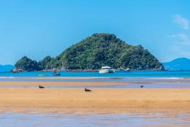 Un cutremur de 7,1 a zguduit Insulele Tonga. A fost emisă o alertă de tsunami