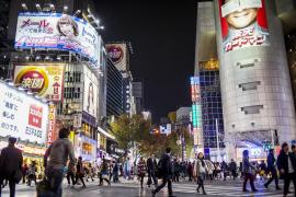 Un "megaseism", urmat de un tsunami, ar putea face până la 298.000 de morți în Japonia, avertizează Guvernul nipon