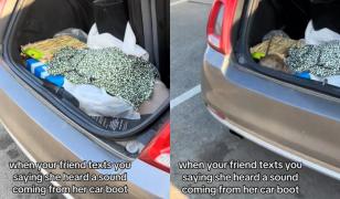 O britanică a trăit șocul vieții ei după ce a auzit zgomote ciudate venind din portbagajul mașinii.