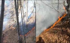 Incendii majore de vegetație