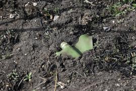 Frontul de est al NATO, teren minat. A cincea ţara care se retrage din Tratatul privind minele antipersonal