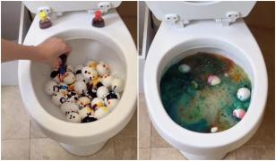 O tânără din SUA vopseşte ouăle de Paşte în vasul de toaletă pentru a nu-şi murdări bucătăria: "Nu ştiam că oamenii le mănâncă"