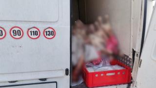 Camion cu peste o tonă de carne de miel, oprit la intrarea în București. Nu avea acte legale, nici marcă de sănătate