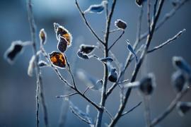 Vremea se schimbă radical. Va fi deosebit de rece sâmbătă în cea mai mare parte a ţării