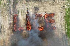 20 de tone de canabis, arse în centrul unui oraș de polițiștii turici. Toți localnicii au avut halucinații zile bune