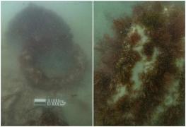 Descoperire uimitoare în largul Australiei. Cercetătorii căutau de 4 ani comoara dispărută acum aproape 170 de ani