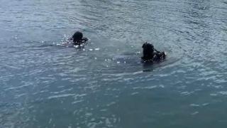 Misiune de căutare a unui bărbat care ar fi căzut în râul Mureș. Un martor a dat alarma