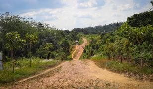 Boala rară de care suferă copiii dintr-un sat izolat, unde aproape toţi sătenii erau rude şi se căsătoreau între veri, în Brazilia