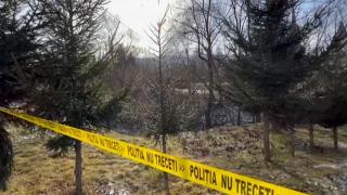 Un cioban, rănit într-o explozie după ce şi-a dus oile la păscut în poligonul Smârdan. Reacţia MApN
