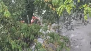 Ministrul Mediului a convocat Comitetul ministerial pentru situaţii de urgenţă din cauza avertizărilor meteo