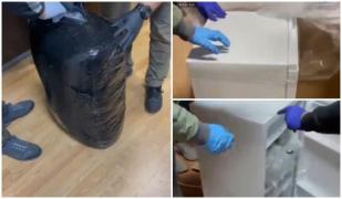 Ce au descoperit poliţiştii clujeni în frigiderul unui tânăr de 31 de ani