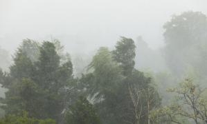 Cod galben de vreme severă emis de ANM. Vijelii puternice lovesc în 11 județe, în următoarele ore