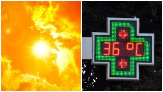 Cod galben de caniculă în România