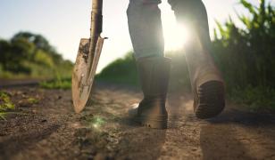 Un fermier francez a descoperit o "comoară" de 4 miliarde € în timp ce-şi inspecta terenul