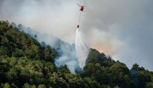 Incendii de amploare în Italia. 600 de turiști evacuați în Toscana, trafic aerian perturbat în Sardinia