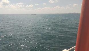 Tragedie la 2 Mai. Bărbat de 55 de ani, mort după ce a căzut de pe placă în mare