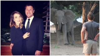 Milionar de 39 de ani, sfâşiat şi călcat în picioare mortal de elefanţi în propriul safari din Africa de Sud