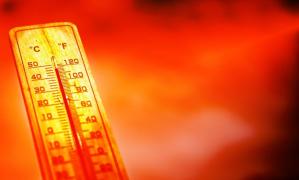 Cod roșu de caniculă, sâmbătă, în 15 județe și București. ANM anunță 43 de grade Celsius la umbră