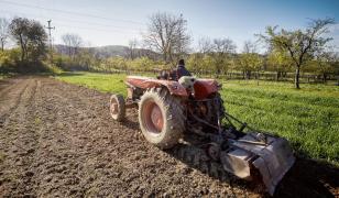 O fetiţă a murit într-un accident provocat de fratele ei. Băiatul de 16 ani a intrat cu tractorul în şanţ