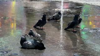 Vremea de mâine 6 iulie. Temperaturi caniculare în întreaga ţară. Maximele vor ajunge la 39 de grade