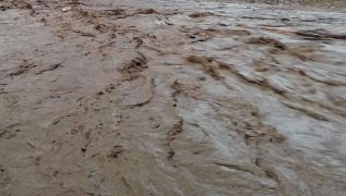 Alertă de inundații în România. Râuri din 15 județe, sub cod galben până la noapte