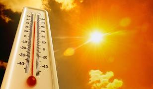 Caniculă extremă: Cod roșu în 2 județe, portocaliu în alte 4. Maxima va ajunge la 41°C