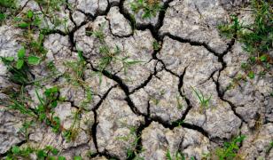Anglia, cea mai gravă secetă din ultimele decenii: 