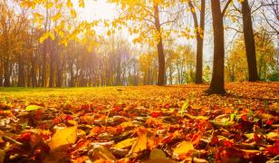 Prognoza pe 4 săptămâni: Final de august mai răcoros. Cum va fi vremea în primele 2 săptămâni din septembrie