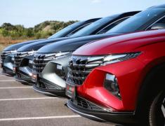 (P) Dealeri de top în 2025: ce caracteristici îi diferențiază pe liderii pieței auto