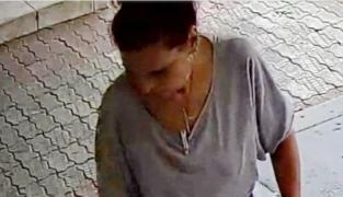 Femeie din Dâmboviţa, filmată în timp ce abandonează mai mulţi pui de pisică. Ce amendă a primit