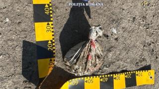 Au spus că sunt de la deratizare şi au furat 30.000 € din casa unui bătrân din Mureş. Unde au ascuns banii